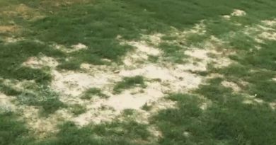 CFA de Cotia recebeu elenco principal do São Paulo em condições ruins - 2026-02-11 11:10:16