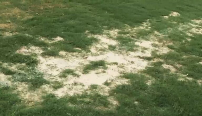 CFA de Cotia recebeu elenco principal do São Paulo em condições ruins - 2026-02-11 11:10:16