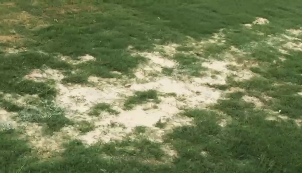 CFA de Cotia recebeu elenco principal do São Paulo em condições ruins - 2026-02-11 11:10:16