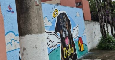 Justiça e Memória: Cão Orelha é homenageado com mural artístico em São Bernardo