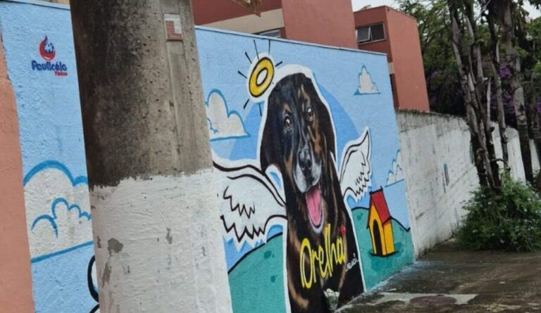 Justiça e Memória: Cão Orelha é homenageado com mural artístico em São Bernardo