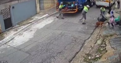 Pitbull escapa de residência e avança contra garis no Jabaquara, em SP