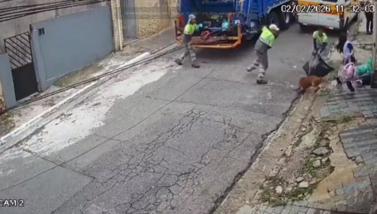 Pitbull escapa de residência e avança contra garis no Jabaquara, em SP