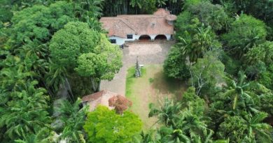 Roda de Reiki – Mãos que Curam acontece neste domingo (22) em Ribeirão Pires - 2026-02-21 10:48:18