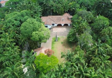 Roda de Reiki – Mãos que Curam acontece neste domingo (22) em Ribeirão Pires - 2026-02-21 10:48:18