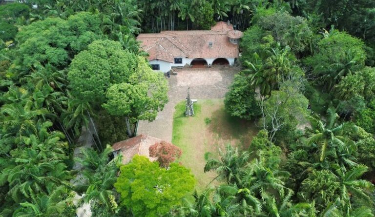 Roda de Reiki – Mãos que Curam acontece neste domingo (22) em Ribeirão Pires - 2026-02-21 10:48:18