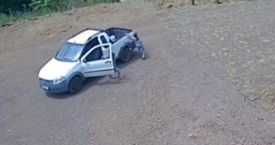 Susto: Gêmeos de 6 anos pulam de carro em movimento antes de queda em barranco