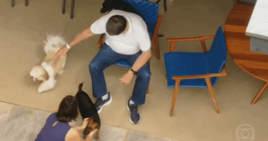 Bolsonaro brinca com cachorros ao iniciar prisão domiciliar após alta hospitalar - 2026-03-28 01:25:07