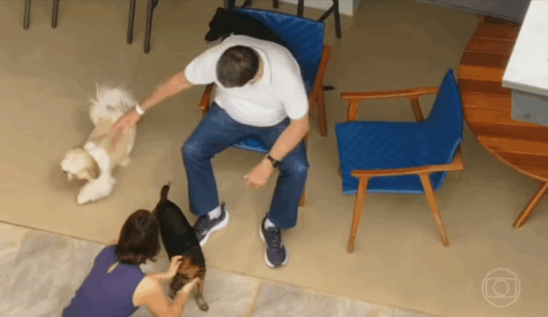 Bolsonaro brinca com cachorros ao iniciar prisão domiciliar após alta hospitalar - 2026-03-28 01:25:07