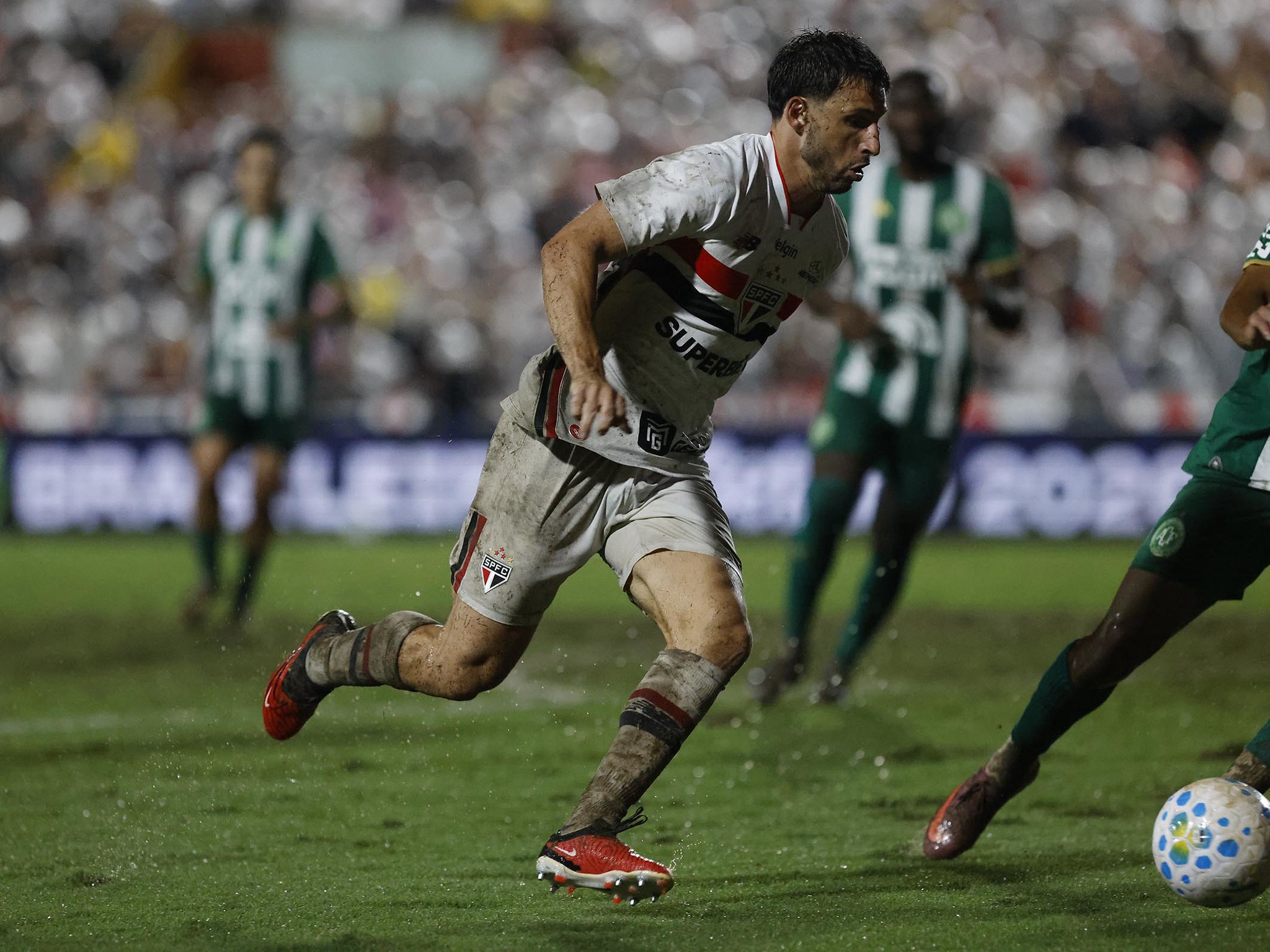 São Paulo Calleri Crespo