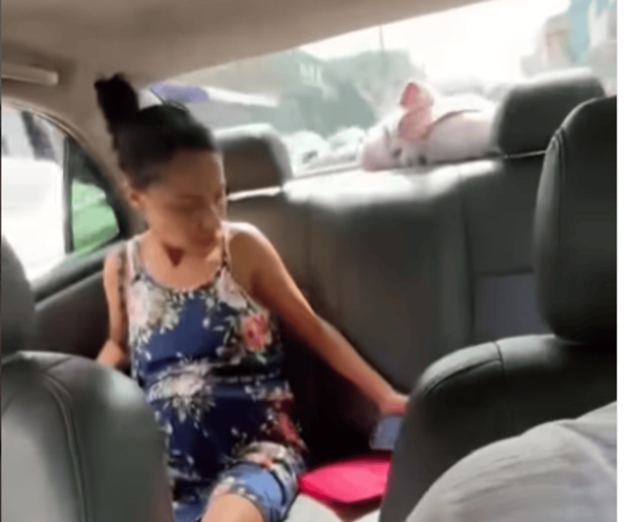 Corrida pela vida: Policiais militares ajudam gestante a chegar a tempo ao hospital em Mauá