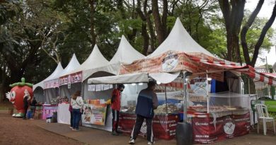 Festivais do Morango, Churros & Chocolate arrecadam quase uma tonelada de alimentos - 2022-09-06 12:39:49