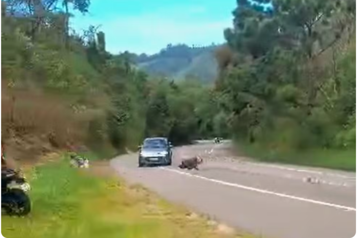 Motociclista de 49 anos morre após perder o controle e colidir com carro na SP-095, em Tuiuti