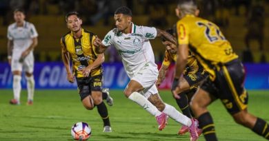 Palmeiras x Novorizontino: Detalhes e como assistir ao vivo - 2026-03-03 13:21:31