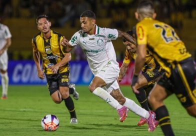 Palmeiras x Novorizontino: Detalhes e como assistir ao vivo - 2026-03-03 13:21:31