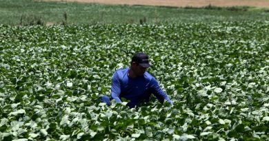 Tarcísio envia projeto para modernizar Fundo do Agronegócio à Alesp - 2026-03-27 13:58:41