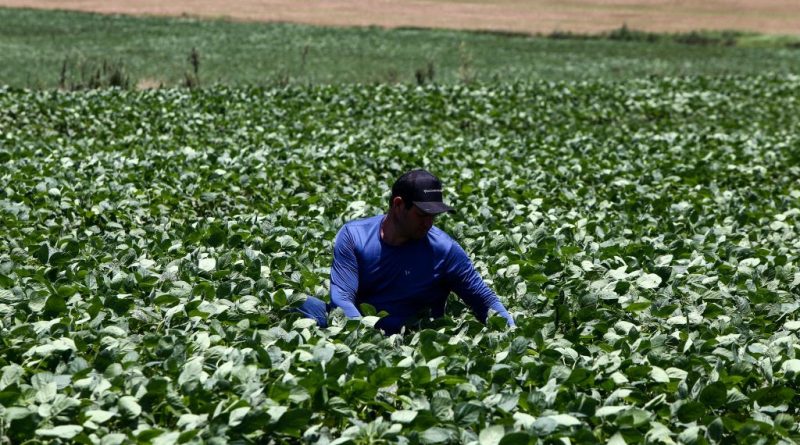 Tarcísio envia projeto para modernizar Fundo do Agronegócio à Alesp - 2026-03-27 13:58:41