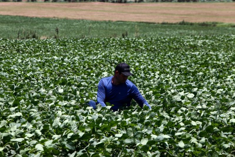 Tarcísio envia projeto para modernizar Fundo do Agronegócio à Alesp - 2026-03-27 13:58:41