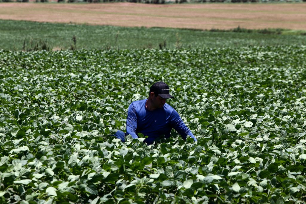 Divulgação Tarcísio envia projeto para modernizar Fundo do Agronegócio à Alesp