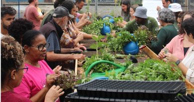 Quintal Verde Ana Maria em Santo André Santo André ganha novo polo de educação ambiental com a inauguração do Quintal Verde Ana Maria