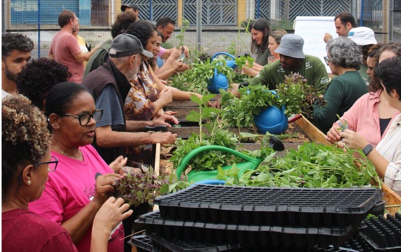 Quintal Verde Ana Maria em Santo André Santo André ganha novo polo de educação ambiental com a inauguração do Quintal Verde Ana Maria