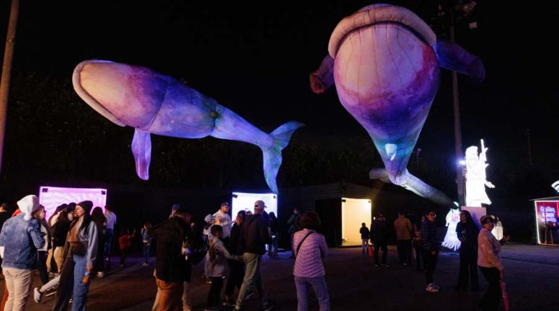 Brilha Sonhos transforma Parque Villa-Lobos em espetáculo de luz e arte - 2026-04-07 14:48:19