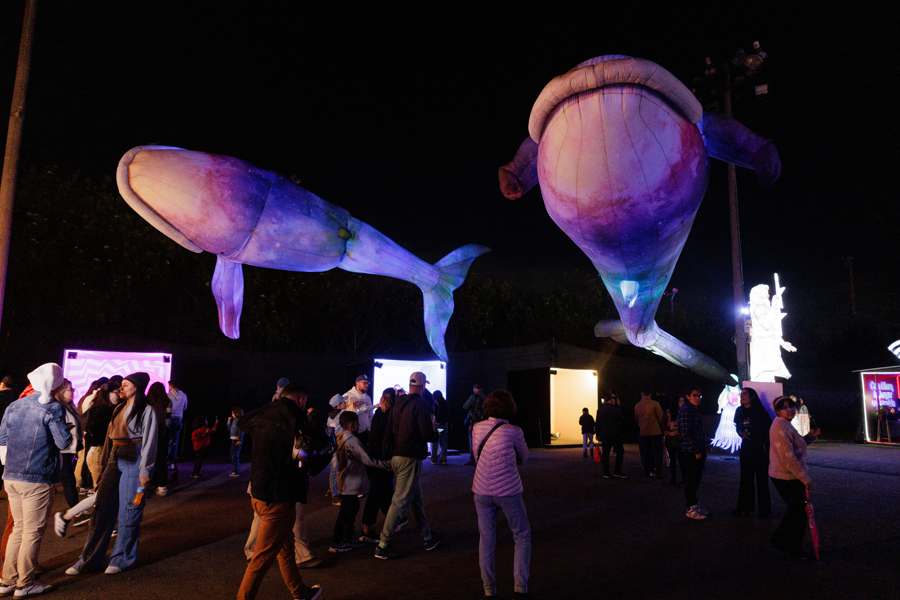 Divulgação Brilha Sonhos transforma Parque Villa-Lobos em espetáculo de luz e arte