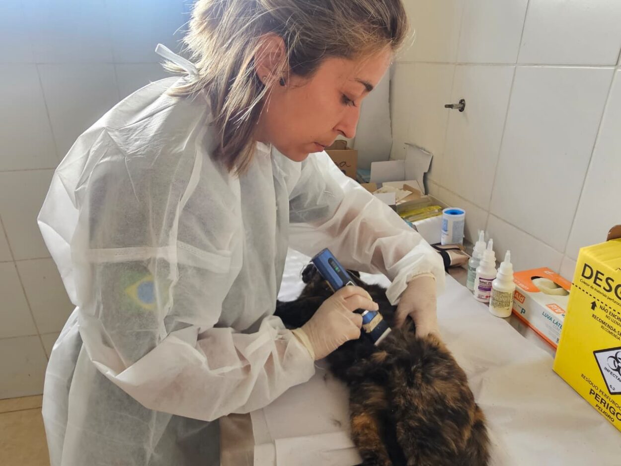 Ribeirão Pires recebe mutirão gratuito de castração para cães e gatos no dia 9 com inscrições presenciais já abertas