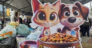 Tigela Cheia troca garrafas PET por ração e estimula economia circular - 2026-04-23 07:57:46