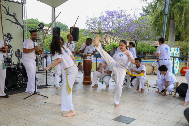 Mestrinho e Circuladô de Fulô dias 30 e 31
