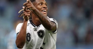Alvo do Palmeiras irrita o Botafogo e é afastado