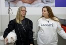 Casa Caramelo trata gatos com esporotricose e outras doenças infectocontagiosas em São Caetano
