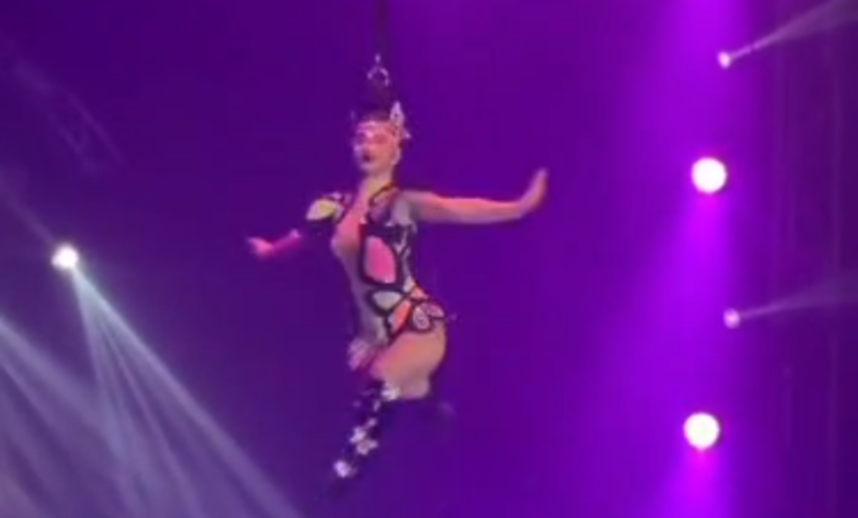 Confira a estreia do Circo Máximus em São Bernardo