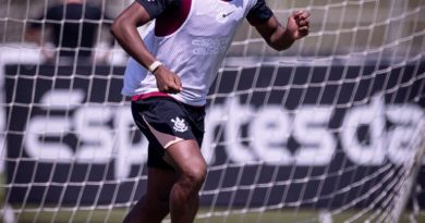 Corinthians pode perder Diniz por suspensão e tenta reverter punição de André