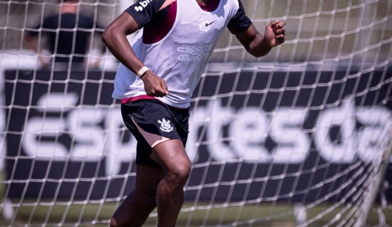 Corinthians pode perder Diniz por suspensão e tenta reverter punição de André