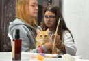 Mãos que Curam” realiza mais de 70 atendimentos e amplia cuidado para pets em Ribeirão Pires - 2026-05-04 22:04:36