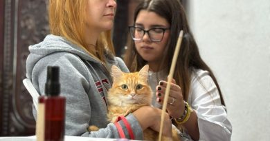 Mãos que Curam” realiza mais de 70 atendimentos e amplia cuidado para pets em Ribeirão Pires - 2026-05-04 22:04:36