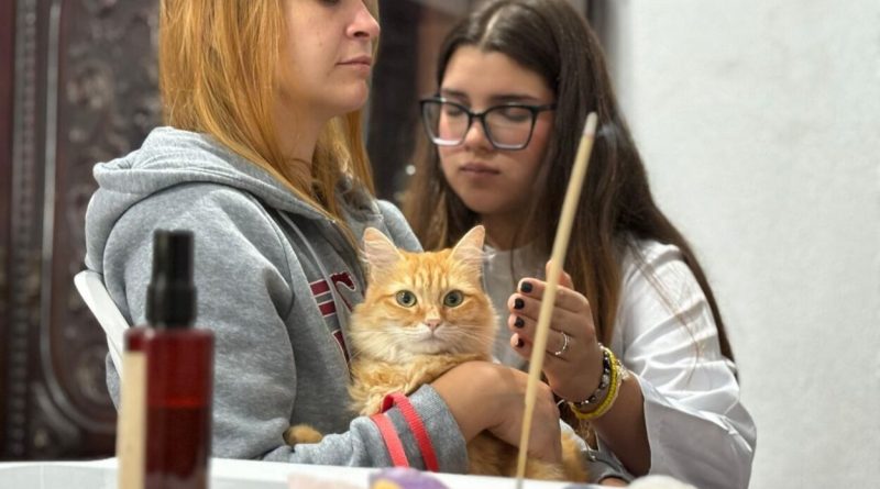 Mãos que Curam” realiza mais de 70 atendimentos e amplia cuidado para pets em Ribeirão Pires - 2026-05-04 22:04:36