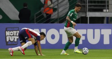 Palmeiras perde sequência de 31 jogos invictos em casa