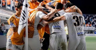 Santos x Vitória: Detalhes e como assistir ao vivo