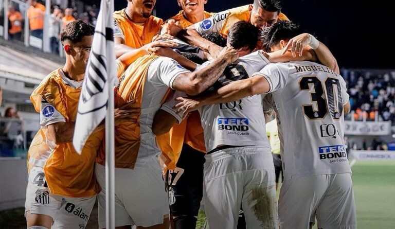 Santos x Vitória: Detalhes e como assistir ao vivo