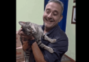 Será que a família vai crescer? Guto Volpi se encanta por gatinha durante evento oficial - 2026-05-01 12:18:37