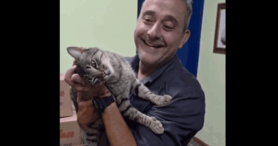 Será que a família vai crescer? Guto Volpi se encanta por gatinha durante evento oficial - 2026-05-01 12:18:37