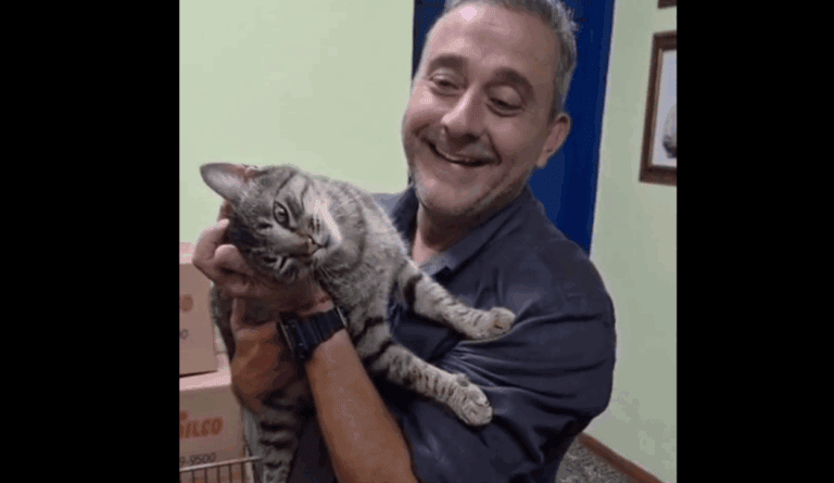 Será que a família vai crescer? Guto Volpi se encanta por gatinha durante evento oficial - 2026-05-01 12:18:37