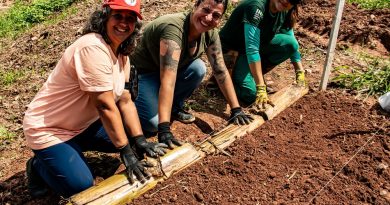 Projeto abre 30 vagas em Santo André