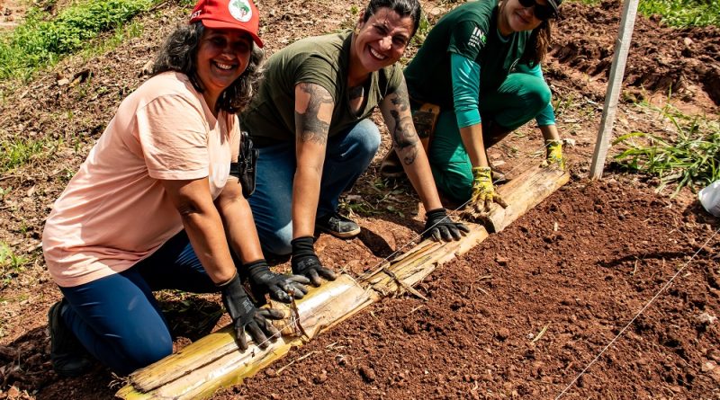 Projeto abre 30 vagas em Santo André