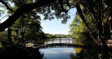 Campinas tem 25 parques e bosques abertos nas férias
