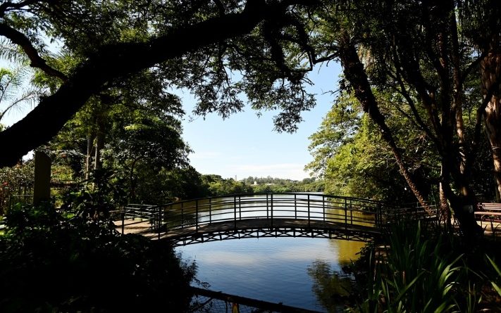 Campinas tem 25 parques e bosques abertos nas férias