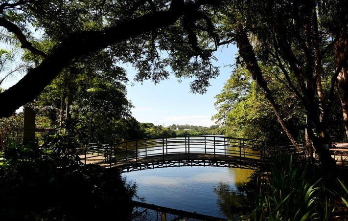 Reprodução - Prefeitura de Campinas/Carlos Bassan Campinas tem 25 parques e bosques abertos nas férias