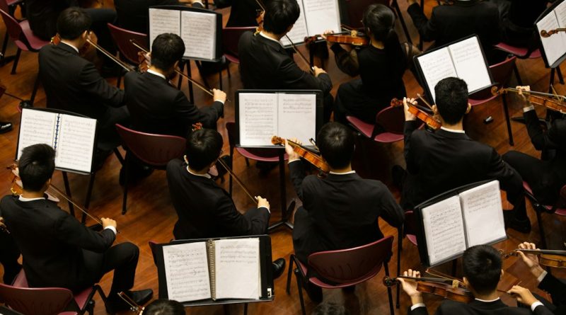 Orquestra Sinfônica de Santo André apresenta homenagem a Tchaikovsky